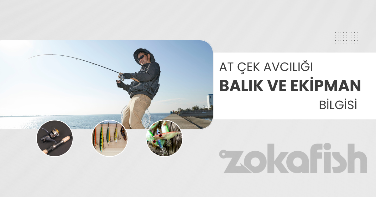 spin ve lrf avcılığı